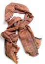 Pashmina chekered brown scarf Royalty Free Stock Photo