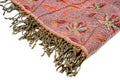 Pashmina shawl Royalty Free Stock Photo