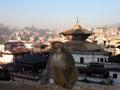 Pashupatinath, Nepal