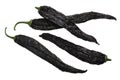 Dried Pasilla bajio chilaca chile peppers