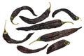 Pasilla chilaca dried peppers, top, paths