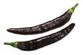 Pasilla Chilaca chile peppers Royalty Free Stock Photo