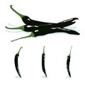 Pasilla chile,chile negro,hot chili pepper