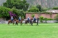 Paso Peruvian horse-Wayra Urubamba - Peru 56