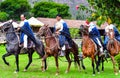 Paso Peruvian horse-Wayra Urubamba - Peru 65