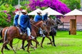 Paso Peruvian horse-Wayra Urubamba  - Peru 72 Royalty Free Stock Photo