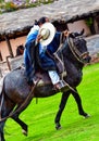 Paso Peruvian horse-Wayra Urubamba - Peru 36
