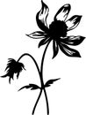 pasque flower Black Silhouette Generative Ai