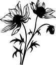pasque flower Black Silhouette Generative Ai