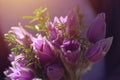 Pasqueflower or Pulsatilla Grandis flowers