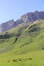The pass of Aravis Royalty Free Stock Photo
