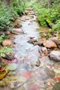 Pass Creek flowing through Glacier National Park