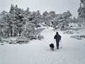 The pass of Navacerrada, Madrid, Spain