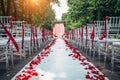 Passage between the chairs, decorated with rose petals leads to the wedding arch. Solemn wedding registration in the park among Royalty Free Stock Photo