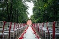 Passage between the chairs, decorated with rose petals leads to the wedding arch. Solemn wedding registration in the park among Royalty Free Stock Photo