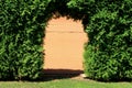 Passage in dense tall hedge made of Cypress or Cupressus evergreen trees with light green scale like leaves closed with wire fence