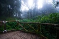 Passage in Doi inthanon national park, Thailand Royalty Free Stock Photo