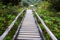 Passage in Doi inthanon national park, Thailand Royalty Free Stock Photo