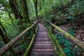 Passage in Doi inthanon national park, Thailand Royalty Free Stock Photo