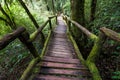 Passage in Doi inthanon national park, Thailand Royalty Free Stock Photo