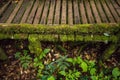 Passage in Doi inthanon national park, Thailand Royalty Free Stock Photo