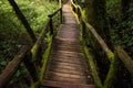 Passage in Doi inthanon national park, Thailand Royalty Free Stock Photo