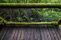 Passage in Doi inthanon national park, Thailand Royalty Free Stock Photo