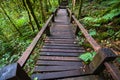 Passage in Doi inthanon national park, Thailand Royalty Free Stock Photo