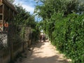 Passage to the Azov sea beach in village Golubitskaya Russia