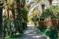 Passage to the park surrounded with trees. Park trail route with vegetation on sidelines. Green forest alley tunnel foot Royalty Free Stock Photo