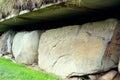 Massive stones with prehistoric carvings