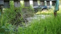 Passage under a wooden fence, green grass Royalty Free Stock Photo