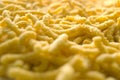 Passatelli pasta. Traditional delicious food of Modena, Emilia Romagna, Italy