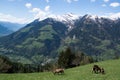 Passeier Valley, Trentino-Alto Adige, Italy Royalty Free Stock Photo