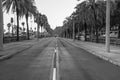 Passeig de Colom Street with Palm Trees in Barcelona, Spain Royalty Free Stock Photo