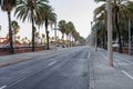 Passeig de Colom Street with Palm Trees in Barcelona, Spain Royalty Free Stock Photo