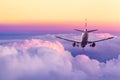 Passenger airplane landing against amazing yellow and pink colorful sky with clouds during sunset. Travel background Royalty Free Stock Photo