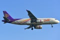 Passenger airplane landing at the airport Royalty Free Stock Photo