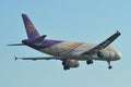 Passenger airplane landing at the airport Royalty Free Stock Photo