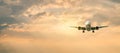 Passenger airplane. Landscape with Front of white airplane is flying in the orange sky with clouds, Passenger aircraft is landing Royalty Free Stock Photo