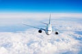 Passenger airplane performing flight flies in the sky