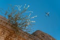 Passenger airplane seen looking up from under the marble column in the ancient city of Perge, Antalya