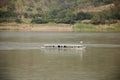 Passenger boat bring travelers people visit and travel in Mekong river