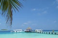 Passenger boats next to the pier in Maldives