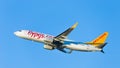 Passenger Boeing 737 Pegasus Airlines flies