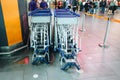 Trolleys at airport