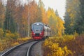 Passenger diesel local train moves at autumn day time. Karelia Royalty Free Stock Photo