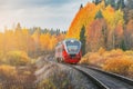 Passenger diesel local train moves at autumn sunset time. Karelia. Royalty Free Stock Photo