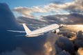 The passenger plane flies away beyond the horizon during the sunset