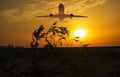 Passenger plane fly up over take-off runway from airport at sunset, sunrise Royalty Free Stock Photo